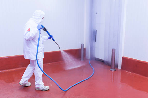 Trusted Seminole Manor, FL Pressure Washing Services Experts